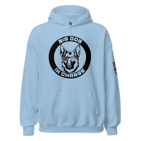 Top Gear Light Blue / S Big Dog Hoodie