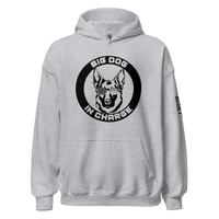 Top Gear Sport Grey / S Big Dog Hoodie
